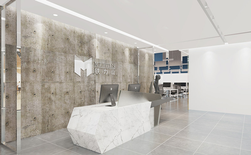 鐵力山控制技術有限公司辦公室裝修